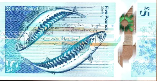 Scottish 5 Pound Royal Bank of Scotland Banknote Front Issued 2015