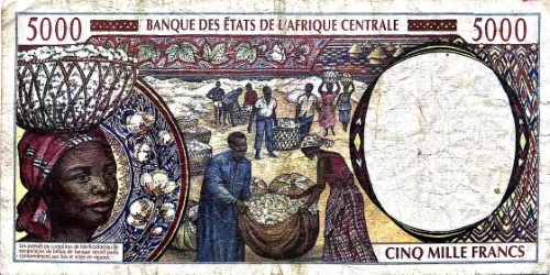 5000 Francs Banknote Central African CFA (1994-2002 issue) First Issued 1994 Front Accepted For Exchange
