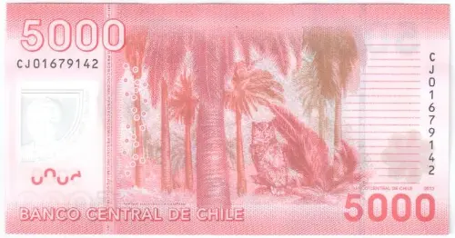 5000 Chilean Peso Banknote First Issued 2009 Front Accepted For Exchange