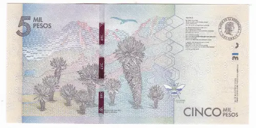 5000 Colombian Pesos banknote (Silva) First Issued 2015 Front Accepted For Exchange
