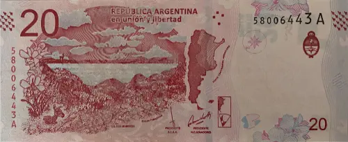 20 Argentine Peso Banknote 4th Series (Guanaco) Front Issued 2017 Accepted For Exchange