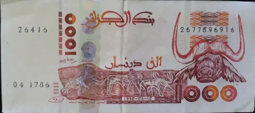 1000 Algerian Dinar Banknote (type 1998) Issued 1998 Front Accepted For Exchange