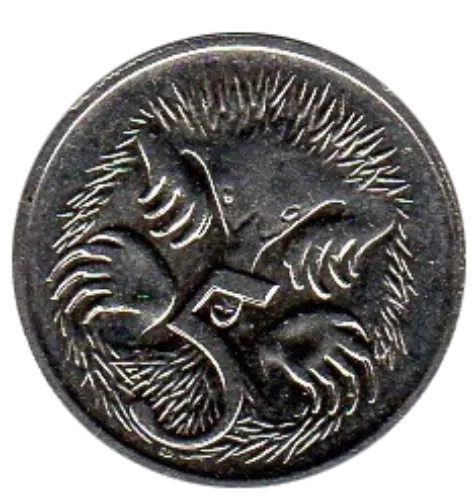 Australian 5 Cent Coin Obverse