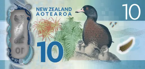 New Zealand 10 Dollar Banknote Front Issued 1999 Accepted For Exchange