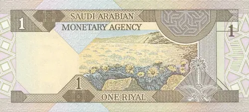 Saudi Arabian 1 Riyal Banknote Front Issued 1984 Accepted For Exchange