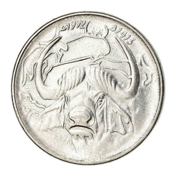 1 Algerian Dinar coin (Buffalo) (reverse)