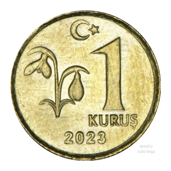 1 Kurus coin Turkey (reverse)