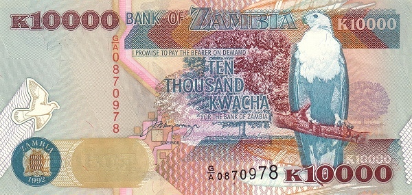 10000 Zambian Kwacha Banknote (Porcupine)