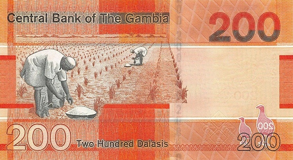 200 Gambian Dalasis Banknote (Planting Rice) (reverse)