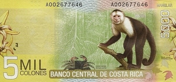 5,000 Costa Rican Colones banknote (Alfredo González Flores) (reverse)