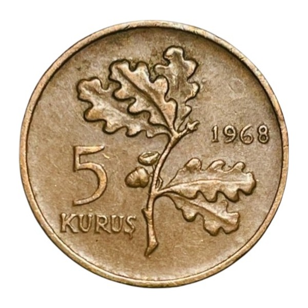 5 Kurus coin Turkey (reverse)
