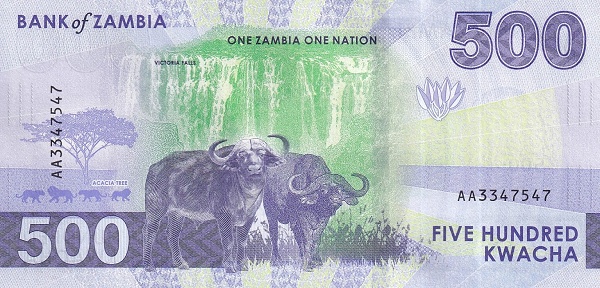 500 Zambian Kwacha Banknote (Water Buffalos) (reverse)