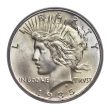 United States Peace Silver Dollar Coin